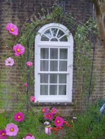 Windows 0 Windows