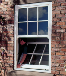 Sash Windows