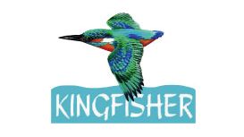 Kingfisher Windows